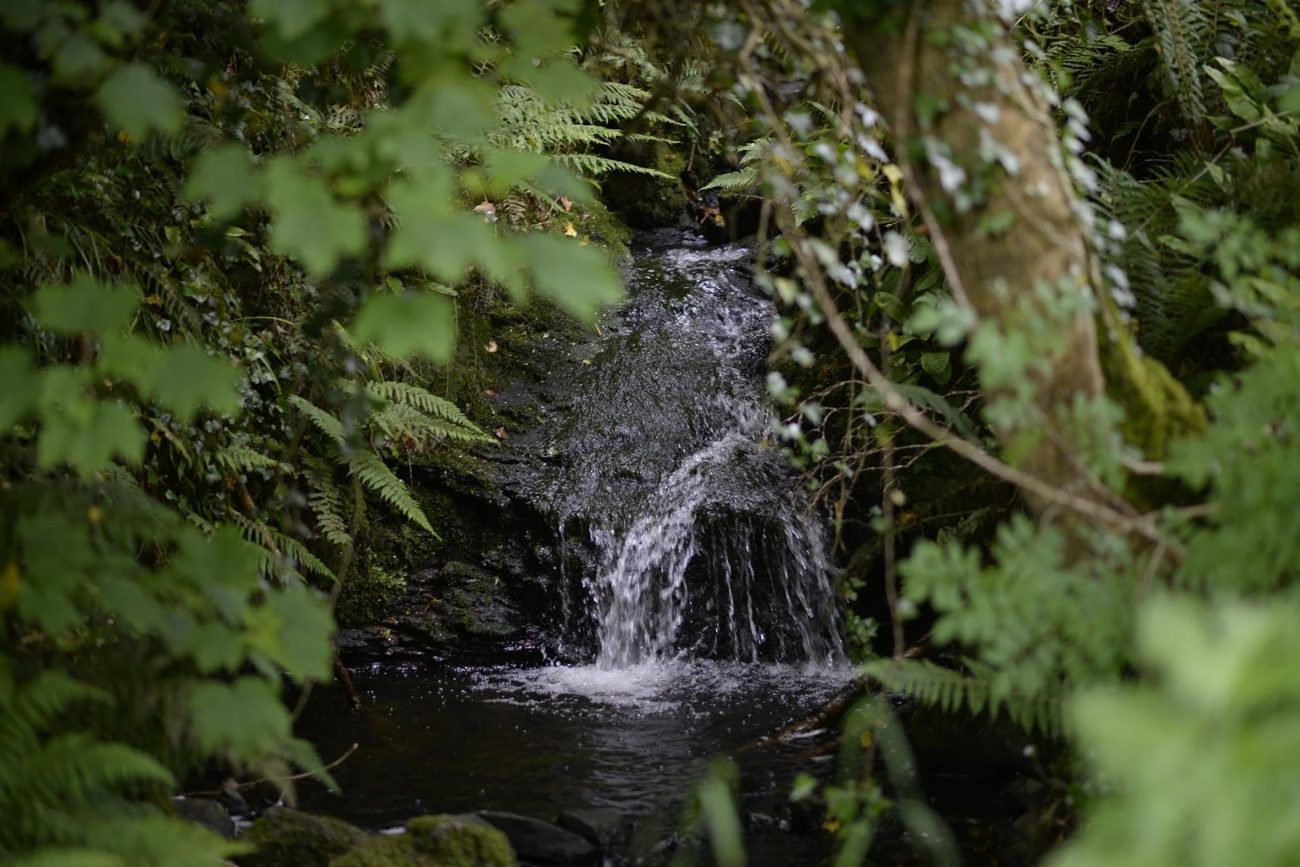 A classical waterfall